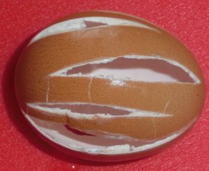 Děravé vejce