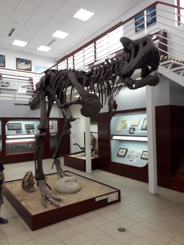Replika kostry dinosaura