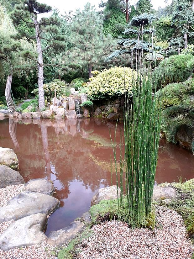 Ogród japoński Jarków