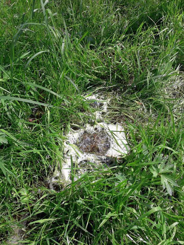 Duszniki-Zdrój - bublinky v trávě